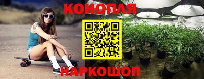 бошки Гагарин