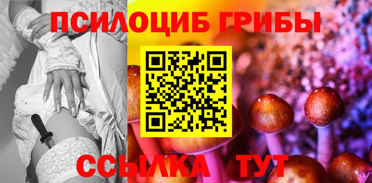 Псилоцибиновые грибы Cubensis Нижний Тагил